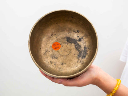 Tara Singing Bowl - Base Note A#3 (228 Hz)