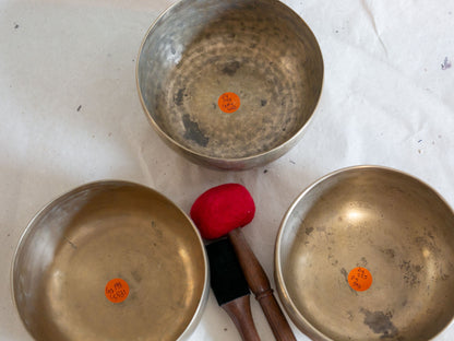 Set of 3  Tara Bowls - TBS91