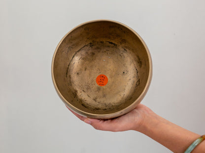 Tara Singing Bowl (thick rim) - Base Note G#3 (210 Hz)