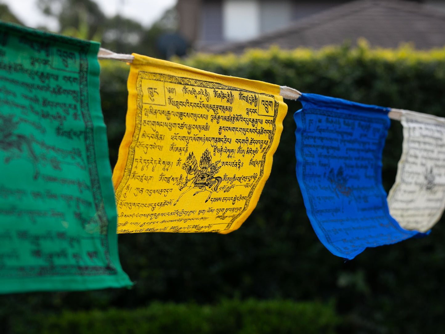 Prayer flags with Tibetan text in a natural setting
