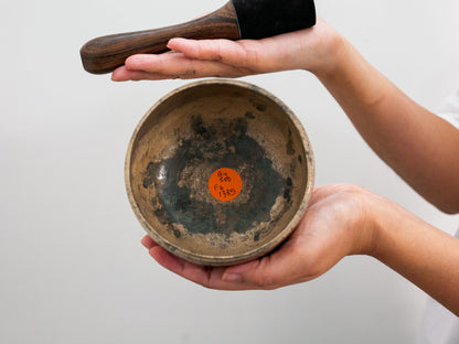 Small Tara Singing Bowl - Base Note B4 (500)