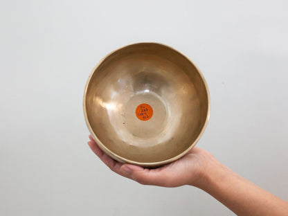 Hand Hammered Moon Singing Bowl - Base Note D4 287 Hz