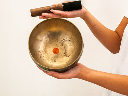 Copre Singing Bowl - C#3 135 Hz