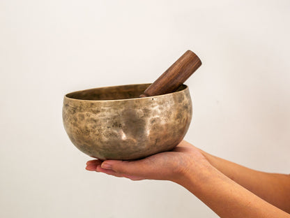 Copre Singing Bowl - E3 168 Hz