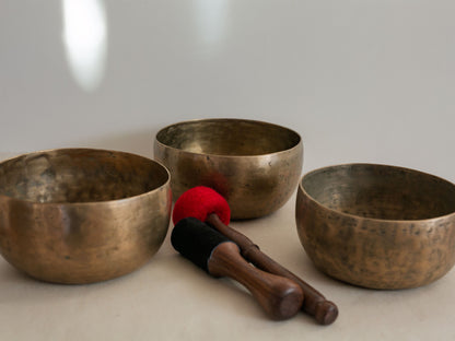 Set of 3 Tara Bowls - TBS99