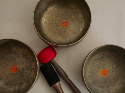 Set of 3 Tara Bowls - TBS99
