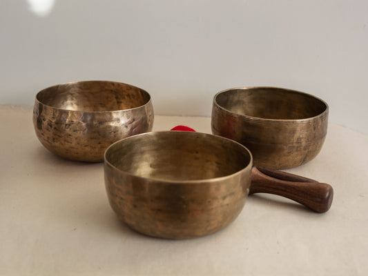 Set of 3 Tara Bowls - TBS97