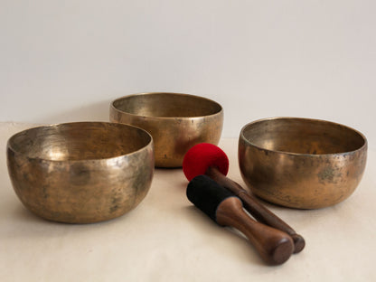 Set of 3 Tara Bowls - TBS98