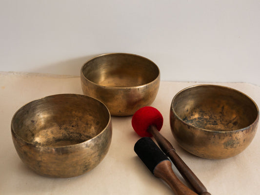 Set of 3 Tara Bowls - TBS98