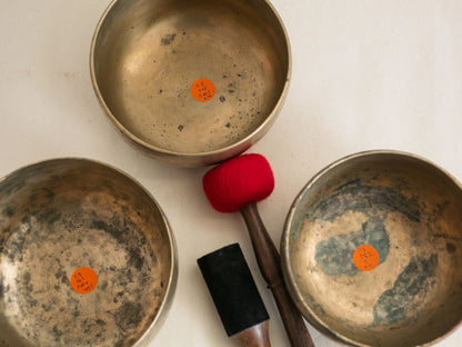 Set of 3 Tara Bowls - TBS98