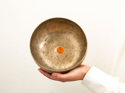 Copre Singing Bowl - C#3 136 Hz