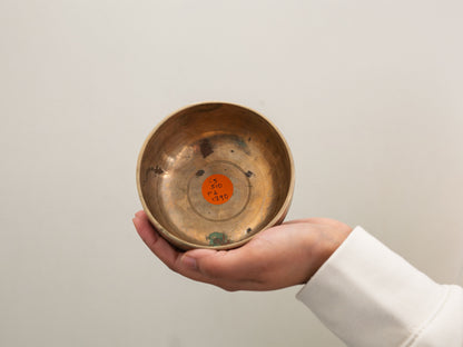 Small Tara Singing Bowl - Base Note C5 (510 Hz)