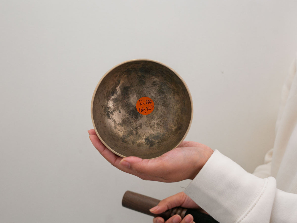 Small Tara Singing Bowl - Base Note D4 (288Hz)
