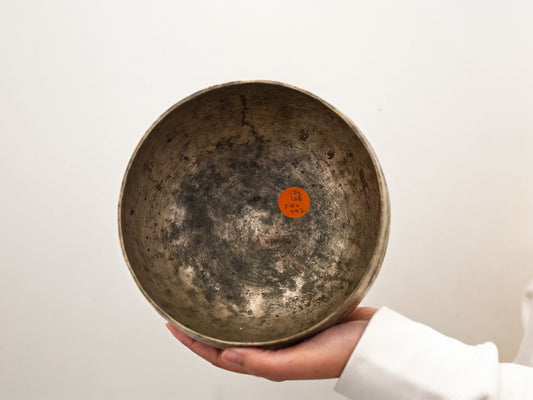 Copre Singing Bowl - C#3 168 Hz