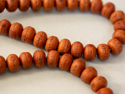 Close up of Bodhi seed showing detail in each bead