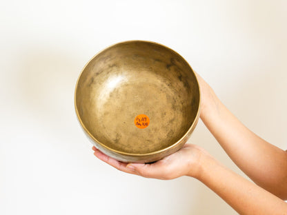 Tara Singing Bowl - Base Note E3 (169 Hz)