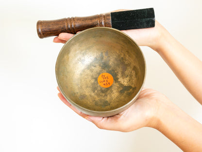 Small Tara Singing Bowl - Base Note D4 (295 Hz)