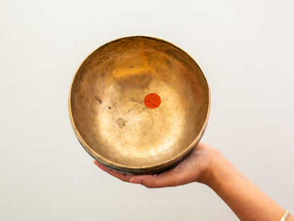 Tara Singing Bowl - Base Note D3 (146 Hz)