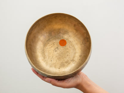 Tara Singing Bowl - Base Note C#3 (140 Hz)