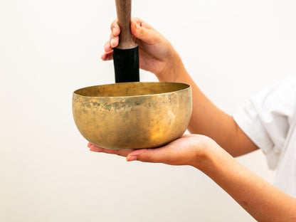 Tara Singing Bowl - Base Note E3 (167 Hz)
