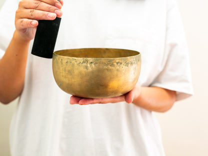 Tara Singing Bowl - Base Note E3 (167 Hz)