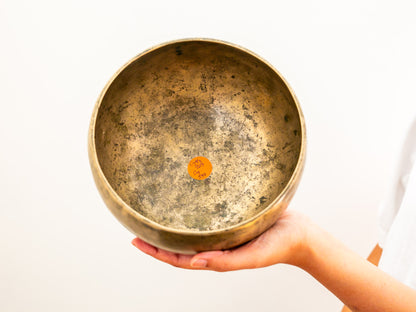 Tara Singing Bowl - Base Note G#3 (207 Hz)