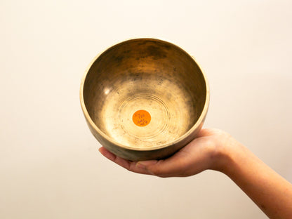 Tara Singing Bowl - Base Note E4 (332 Hz)