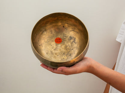 Tara Singing Bowl - Base Note A#2 (113 Hz)