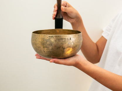 Tara Singing Bowl - Base Note A#2 (113 Hz)