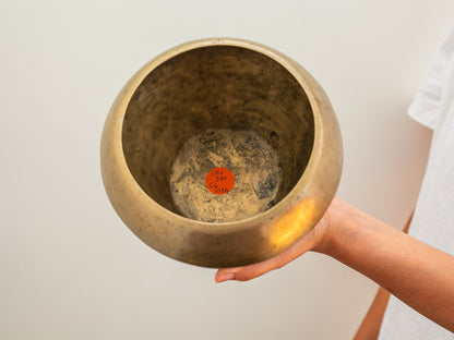 Collector's Buddha Singing Bowl - Base Note F#4 (380 Hz)