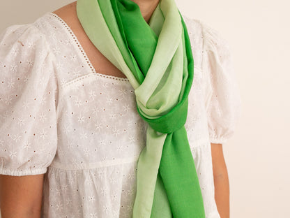 Shaded Cashmere Shawl (All Seasons) - Green