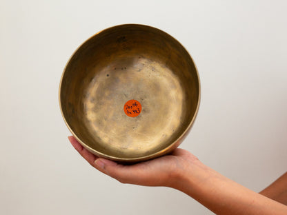Tara Singing Bowl - Base Note D#3 (156 Hz)
