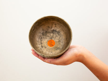 Small Tara Singing Bowl - Base Note A#4 (467 Hz)