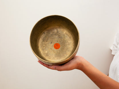 Tara Singing Bowl - Base Note A3 (215 Hz)