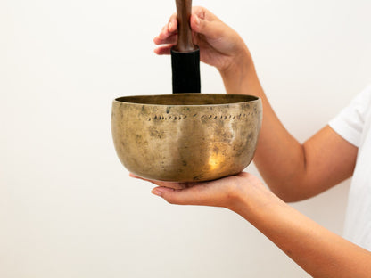 Tara Singing Bowl - Base Note F#3 (183 Hz)