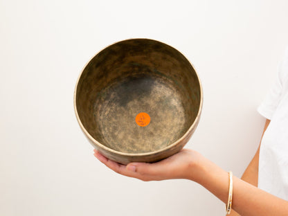 Tara Singing Bowl - Base Note E3 (162 Hz)
