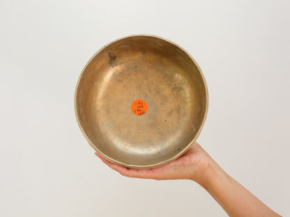 Tara Singing Bowl - Base Note G#3 (204 Hz)