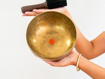 Tara Singing Bowl - Base Note D3 (143 Hz)