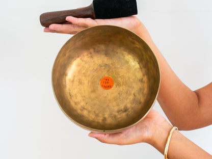 Tara Singing Bowl - Base Note C#3 (137 Hz)