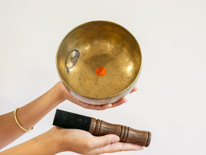 Tara Singing Bowl - Base Note E3 (162 Hz)