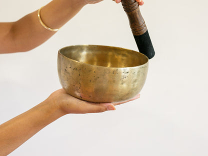 Tara Singing Bowl - Base Note E3 (162 Hz)