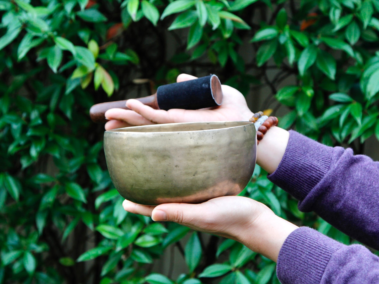 Old 'Tara' Singing Bowl - Base Note F3 (179 Hz)