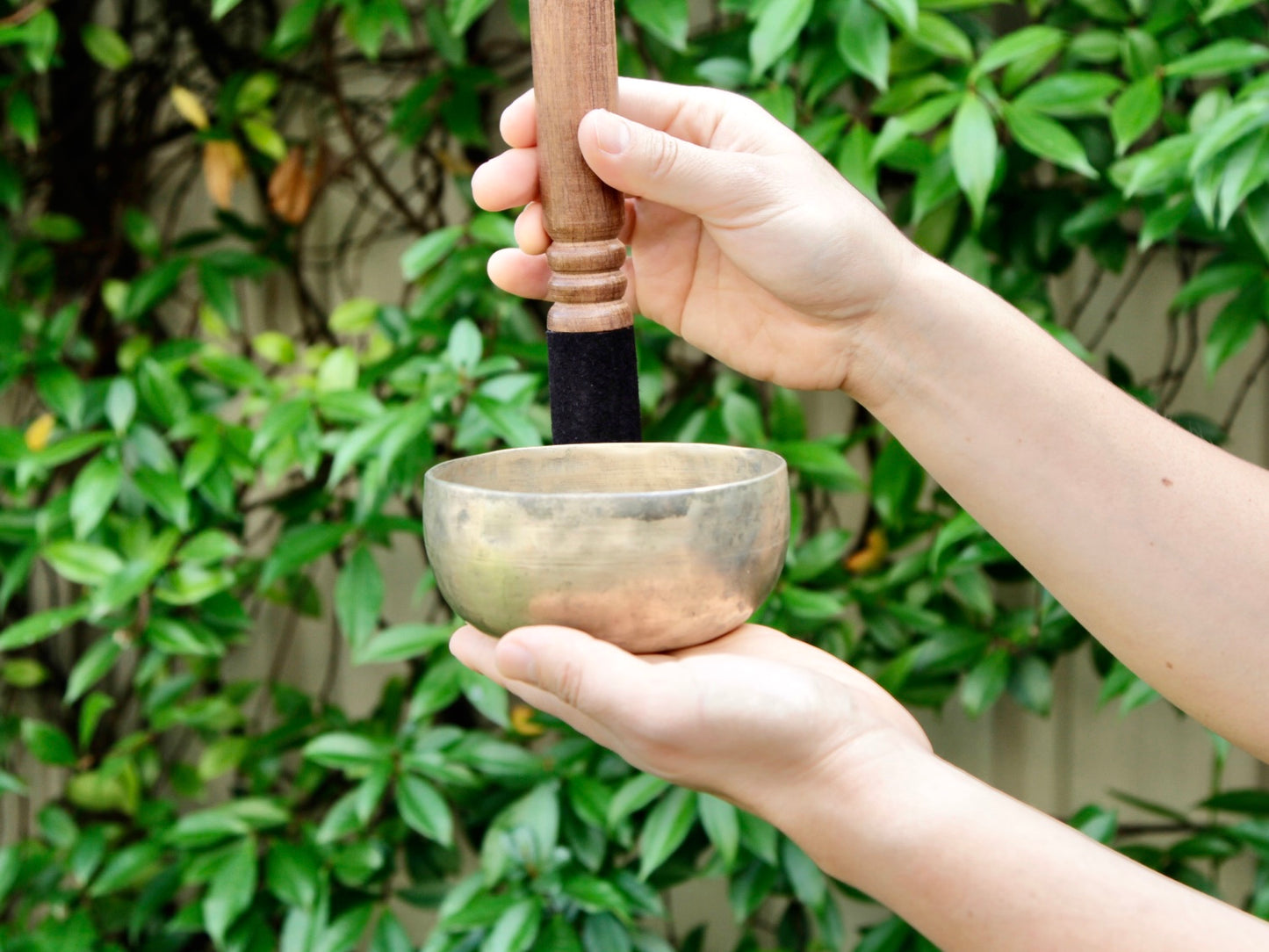 Small Old 'Tara' Singing Bowl - Base Note D#4 (310 Hz)