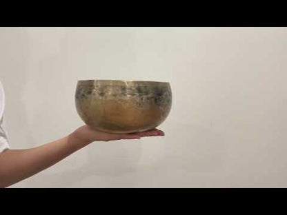 Tara Singing Bowl - Base Note F3 (175 Hz)