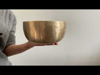 Lingam Singing Bowl - D 289 Hz