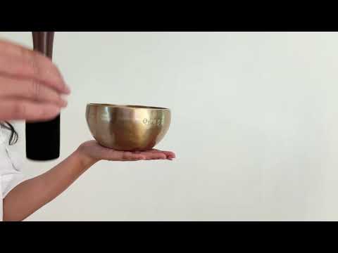Hand Hammered Moon Singing Bowl - Base Note E4 (324) Hz