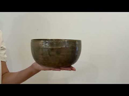 Tara Singing Bowl - Base Note D3 (145 Hz)