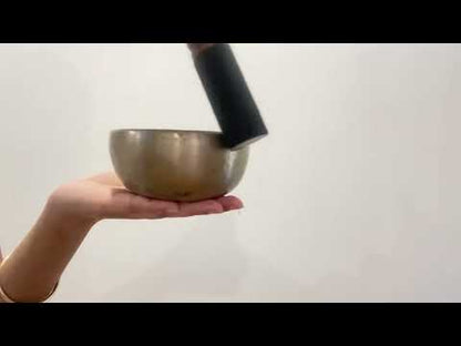Small Tara Singing Bowl - Base Note D#4 (316)