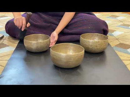 Set of 3 Tara Bowls - TBS93