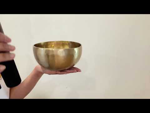 Hand Hammered Singing Bowl - Base Note D4 288 Hz